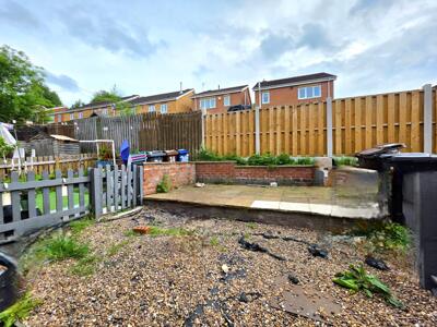 Picture 7